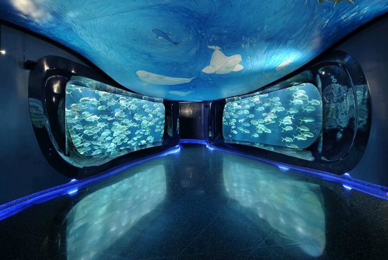 Splendour eye Aquarium The Largest Aquarium in the World