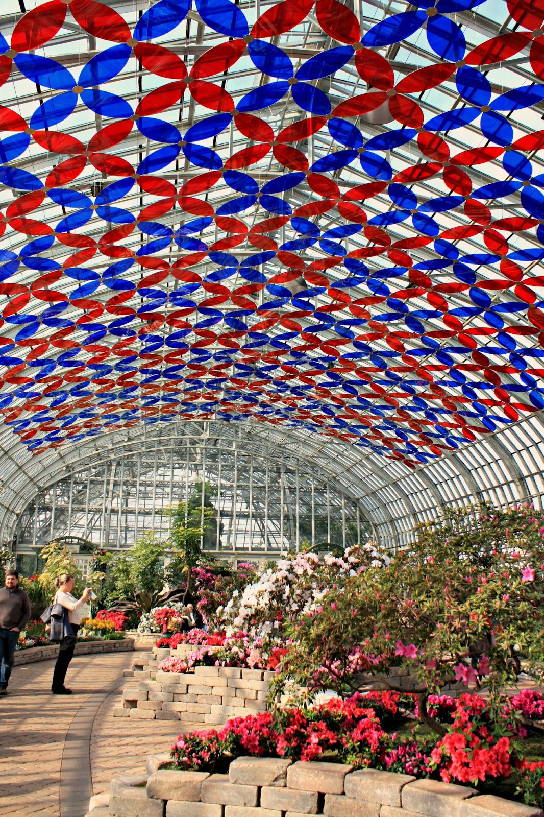 A Little Time and a Keyboard Indoor Tropical Splendor at Garfield Park