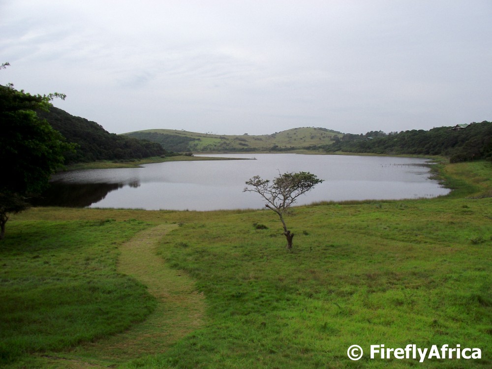 Port Elizabeth Daily Photo Lake Farm lake
