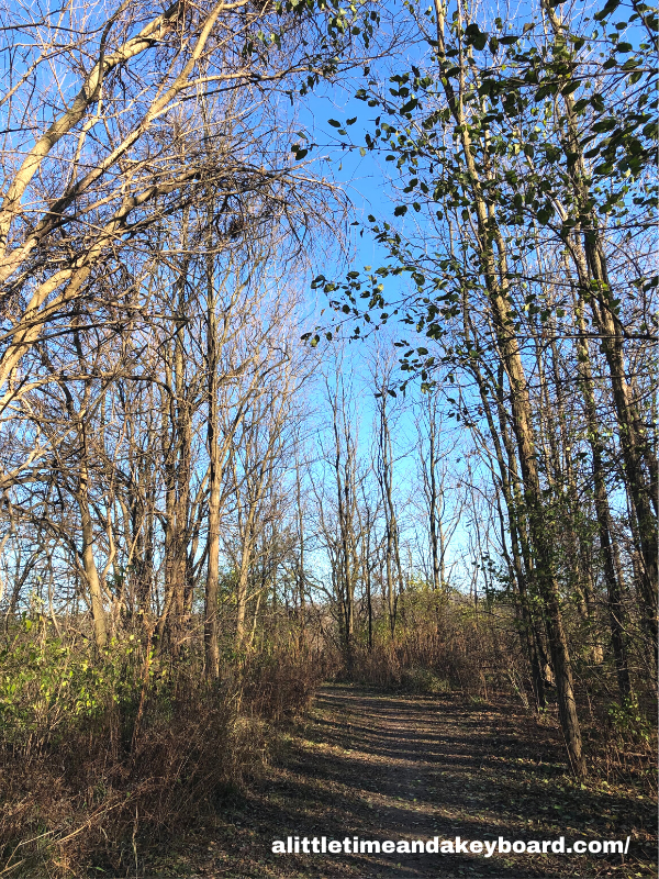 A Little Time and a Keyboard River Rambling Along the Fox River at Fox