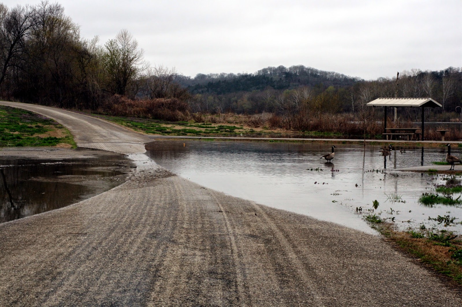 Forsythkid River Run Park in danger of flooding!