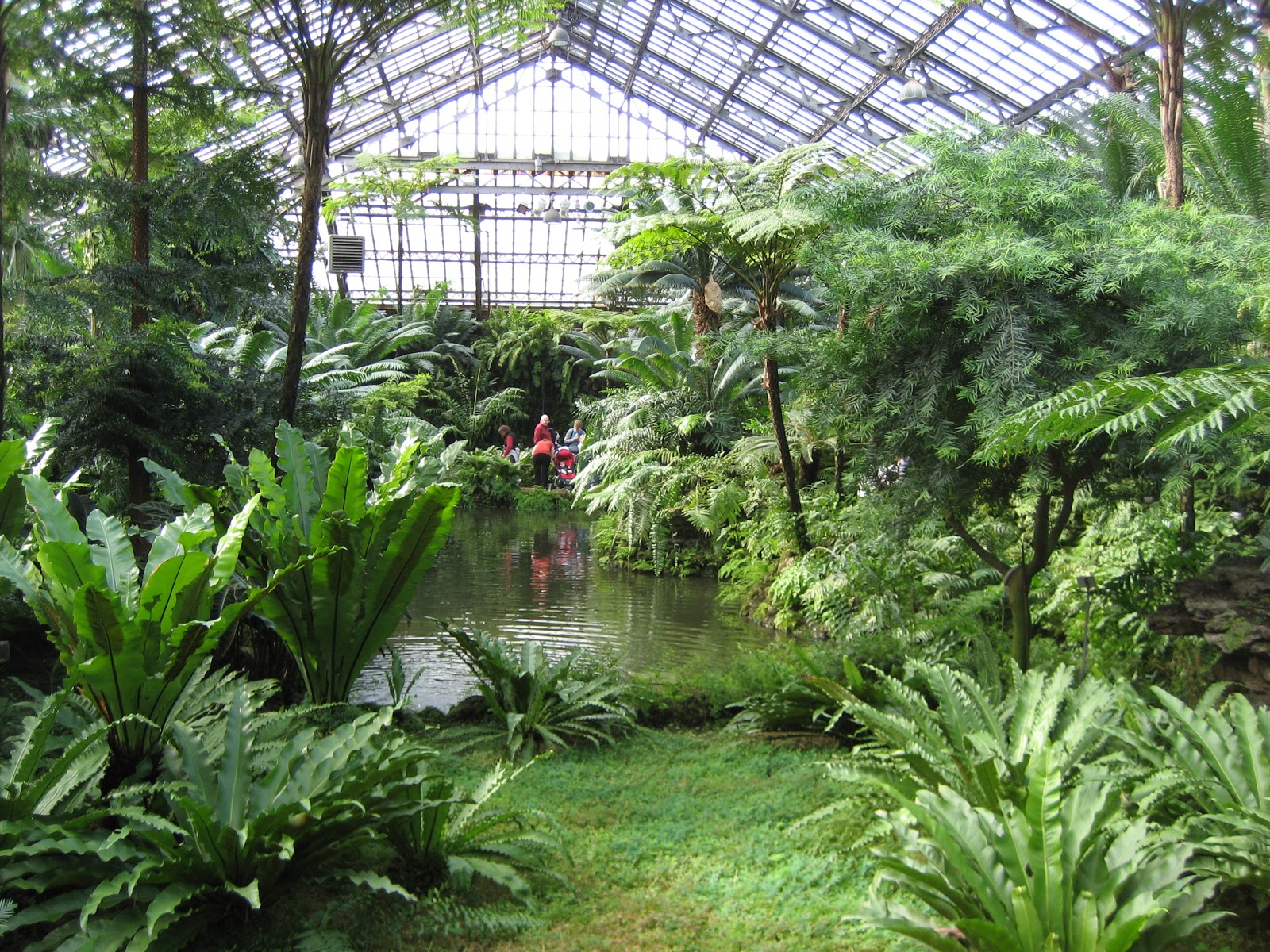 If You Find Yourself Garfield Park Conservatory