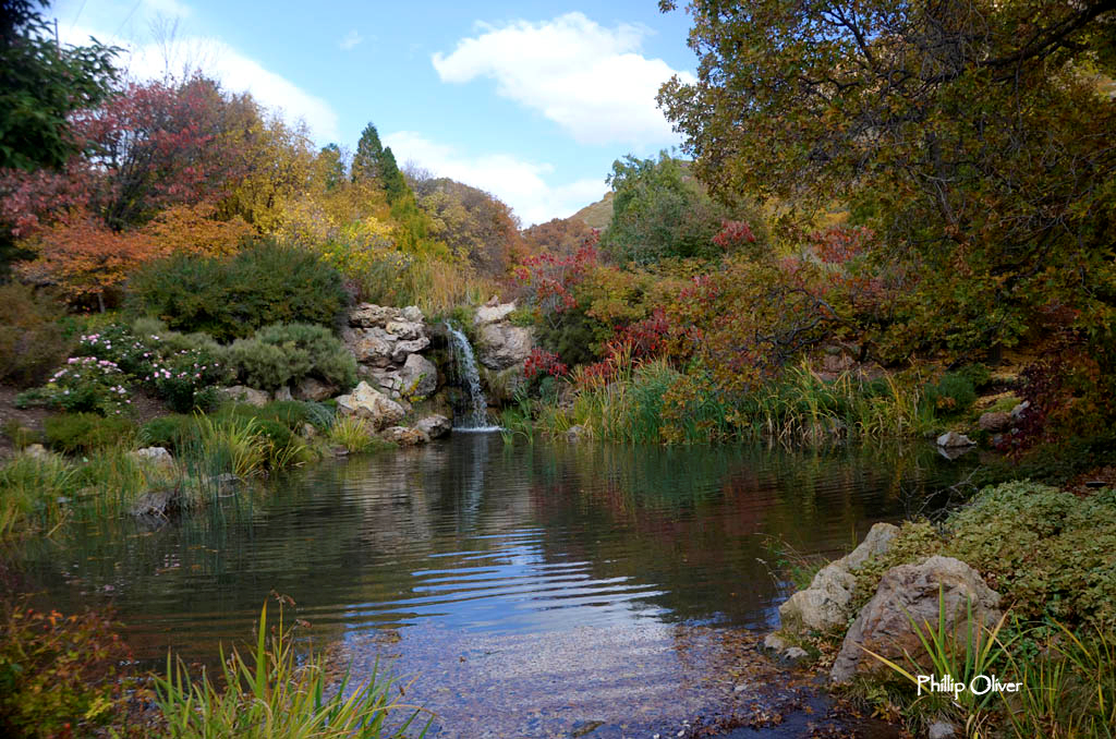 Red Butte Garden and Arboretum, Salt Lake CIty, Utah