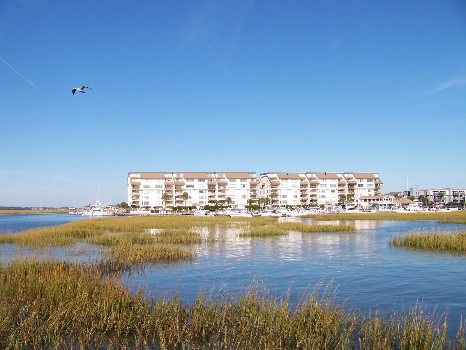 to Garden City Beach, South Carolina!